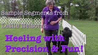 Leslie Nelson&#39;s Heeling for Precision &amp; Fun