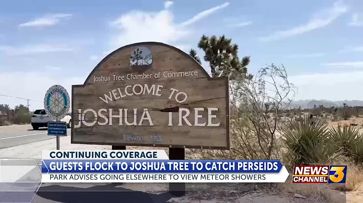 Guests flock to Joshua Tree to watch Perseid Meteor Showers