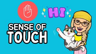 Sense of Touch for kidshow to protect your skin|5 senses #colorfullearning #senseoftouch #5senses