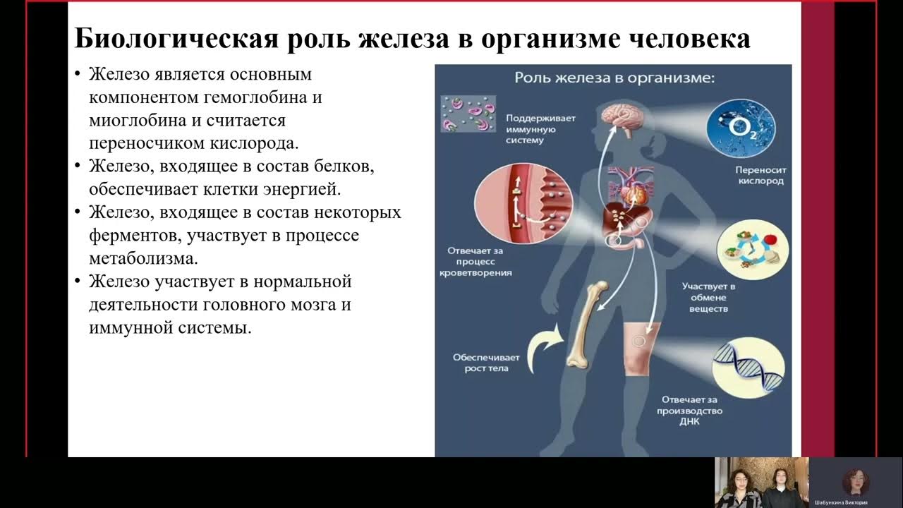 Роль элемента железа в организме. Биологическая роль железа. Биологическая роль в1. Биологическая роль серебра в организме человека. Биологическая роль железа педиатрия.