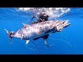 BIG KING MACKEREL (TANGIGUE)!!SPEARFISHING PHILIPPINES!! with spearo kids!