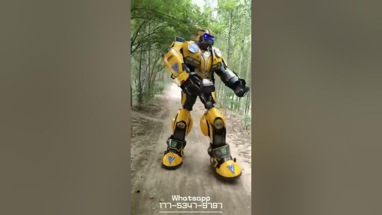 Transformers Bumblebee Costumes 06