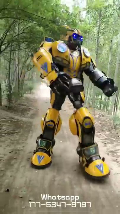 Transformers Bumblebee Costumes 06