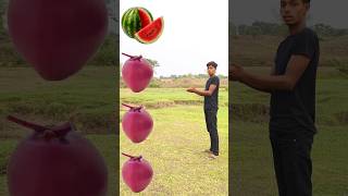 Rounding coconut to Grapes, Mango, lichi &Watermelon - Fruits names magic video