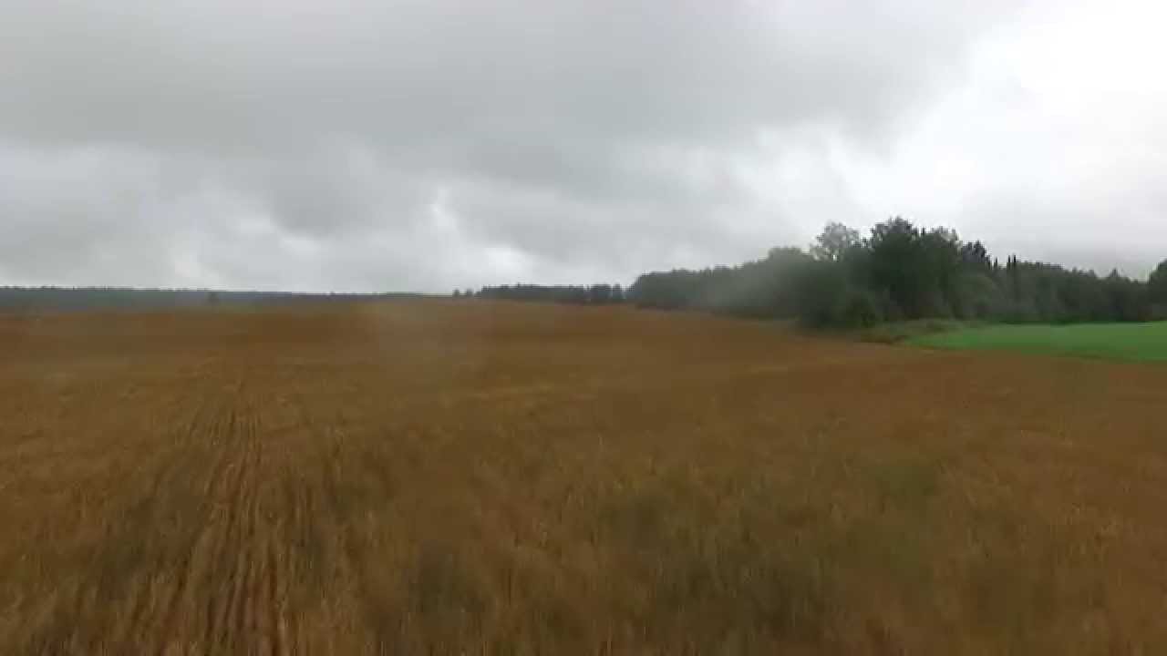 Тише милая не ржи, я летал над полем ржи !!! - YouTube