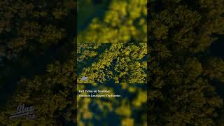 Wisconsin Landscapes | 4K 60p Drone Video  |  North Holmen Marshes 1.2