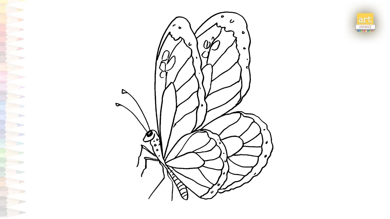 Butterfly drawings easy | Insect drawing tutorial | How to draw A ...