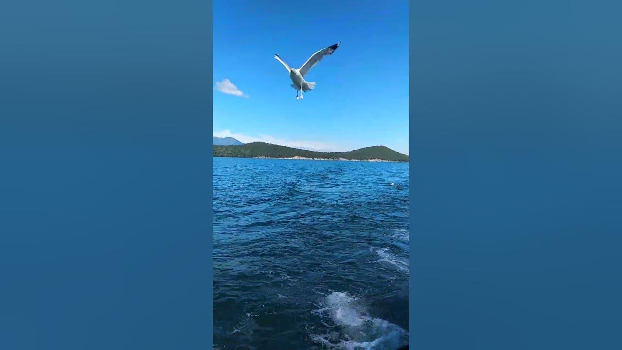 Водопад в Чивыркуйском заливе