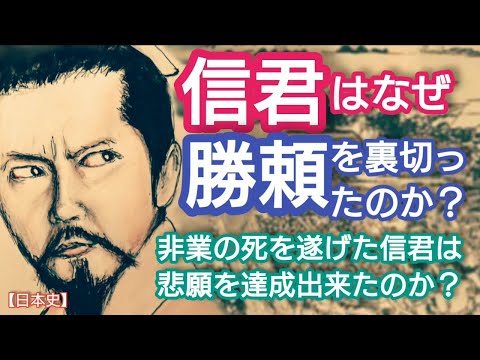 「どうする家康」に学ぶ【日本史】穴山信君はなぜ武田勝頼を裏切ったのか?血縁者の梅雪は武田家存続のために背いたが悲願は達成出来たのか 田辺誠一が人気 Anayama Baisetu Japan