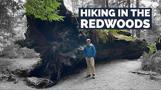 Hiking In The Redwoods of Northern California by Outdoors Podcast 151 views 1 year ago 16 minutes