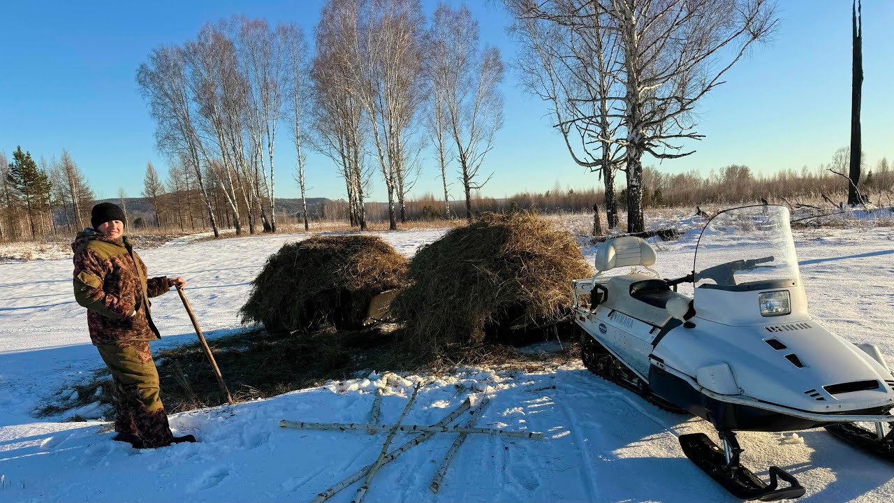 ЗИМНИЙ СЕНОКОС. ВЫВОЗИМ ОСТАТКИ СЕНА С ПОКОСА НА СНЕГОХОДЕ.