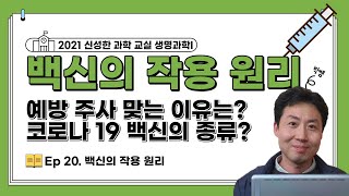 백신의 작용 원리 백신의 작용 원리