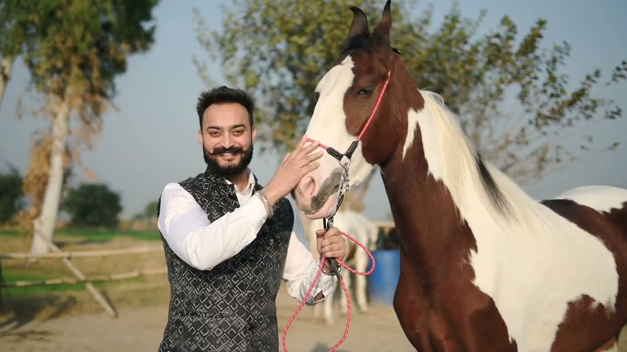 Asle – Gulab Sidhu | Wedding Highlights | Cinematic Model Video | Gurinder Singh & Sarabjit Kaur