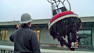 Research Buoy Reveals High Levels of Carbon Dioxide in Bay Waters