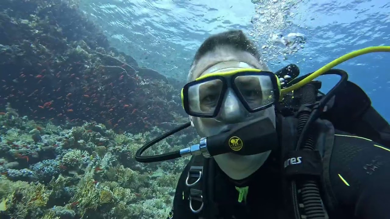 Shark & Jolanda Reef Red Sea 2024 dive 8