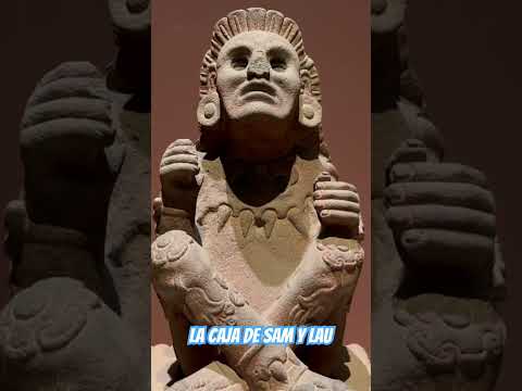 Video: Arheološki i antropološki muzeji (Museo Arqueologico y Antropologico) opis i fotografije - Čile: Arica