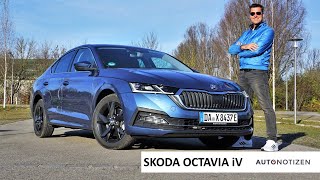 2021 Skoda Octavia iV (204 PS): Plug-in Hybrid im Review, Test, Fahrbericht