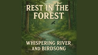 Rest in the Forest, Birdsong and Calming Brooks