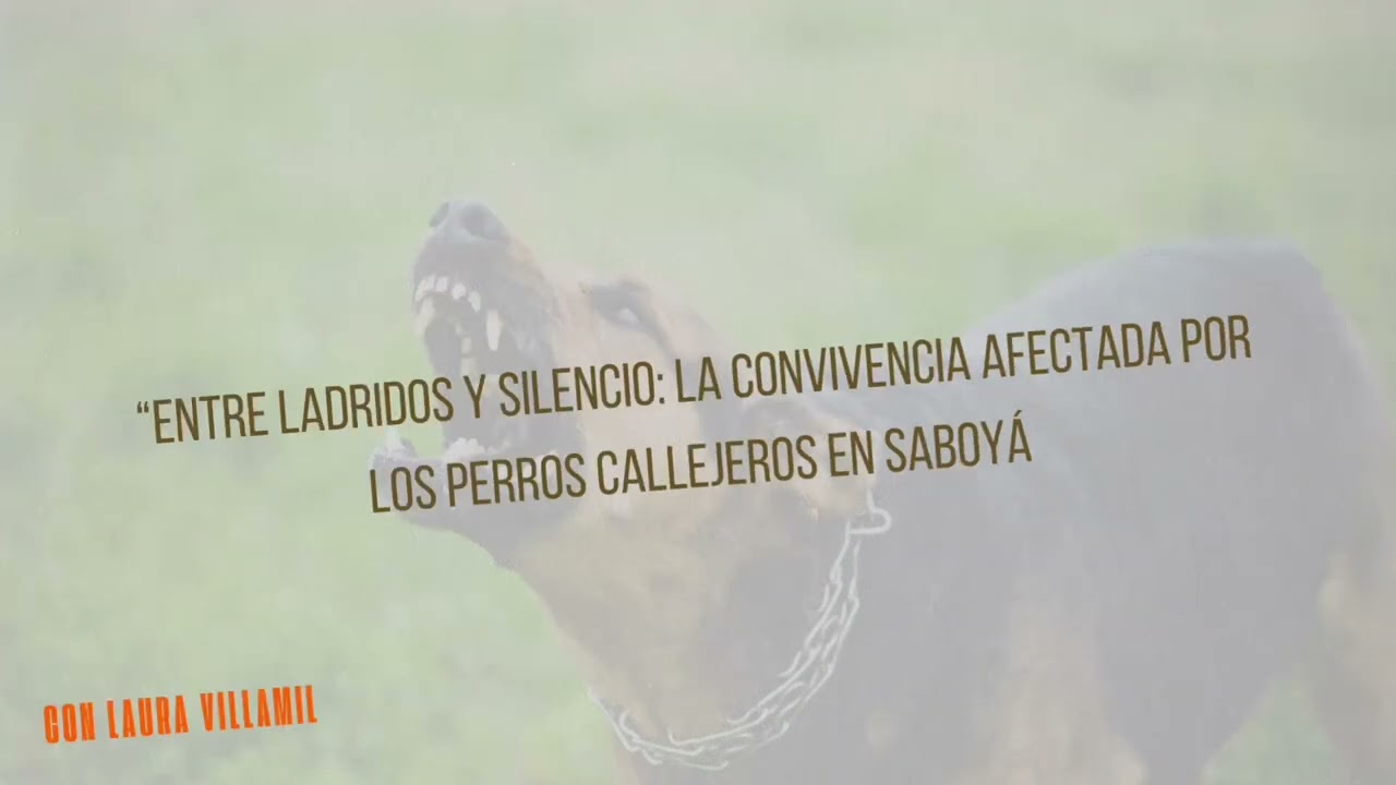 Audio Reportaje - Laura Villamil - UNAD - Fase 3 - Géneros Periodísticos. 