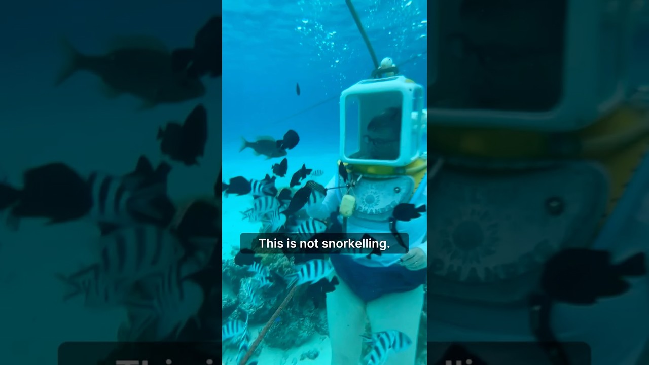 Walking on the Ocean Floor in Tahiti (No Scuba Required!)