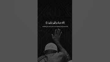تلاوه هادئه | الشيخ ماهر المعيقلي ارح سمعك وقلبك 🎧🤍