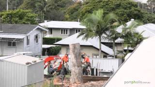 Tree Lopping Time Lapse