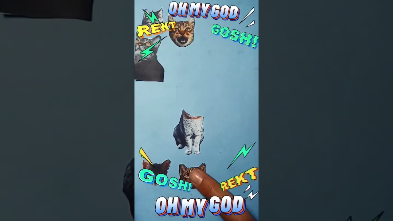 Blissful🌹💕 || WRONG HEAD CHANGE || Oye Playful Puzzle 