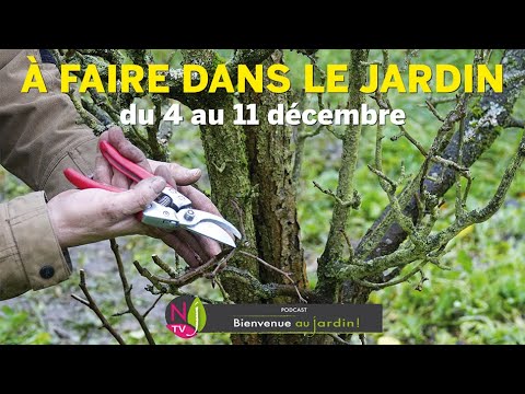 Vidéo: Tâches de jardinage de décembre - Que faire dans le Haut-Midwest