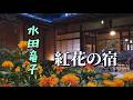 水田竜子 ♪紅花の宿