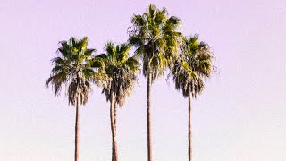 [FREE FOR PROFIT] (Chill) $uicideboy$ Type Beat With Hook | $outh$ide - 2021