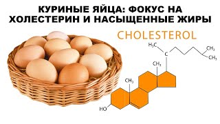 лекция: КУРИНЫЕ ЯЙЦА: ФОКУС НА ХОЛЕСТЕРИН И НАСЫЩЕННЫЕ ЖИРЫ