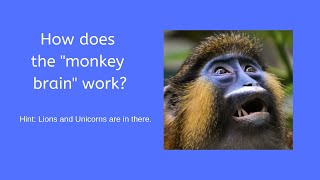 Famous How does the Monkey Brain work? Wealth