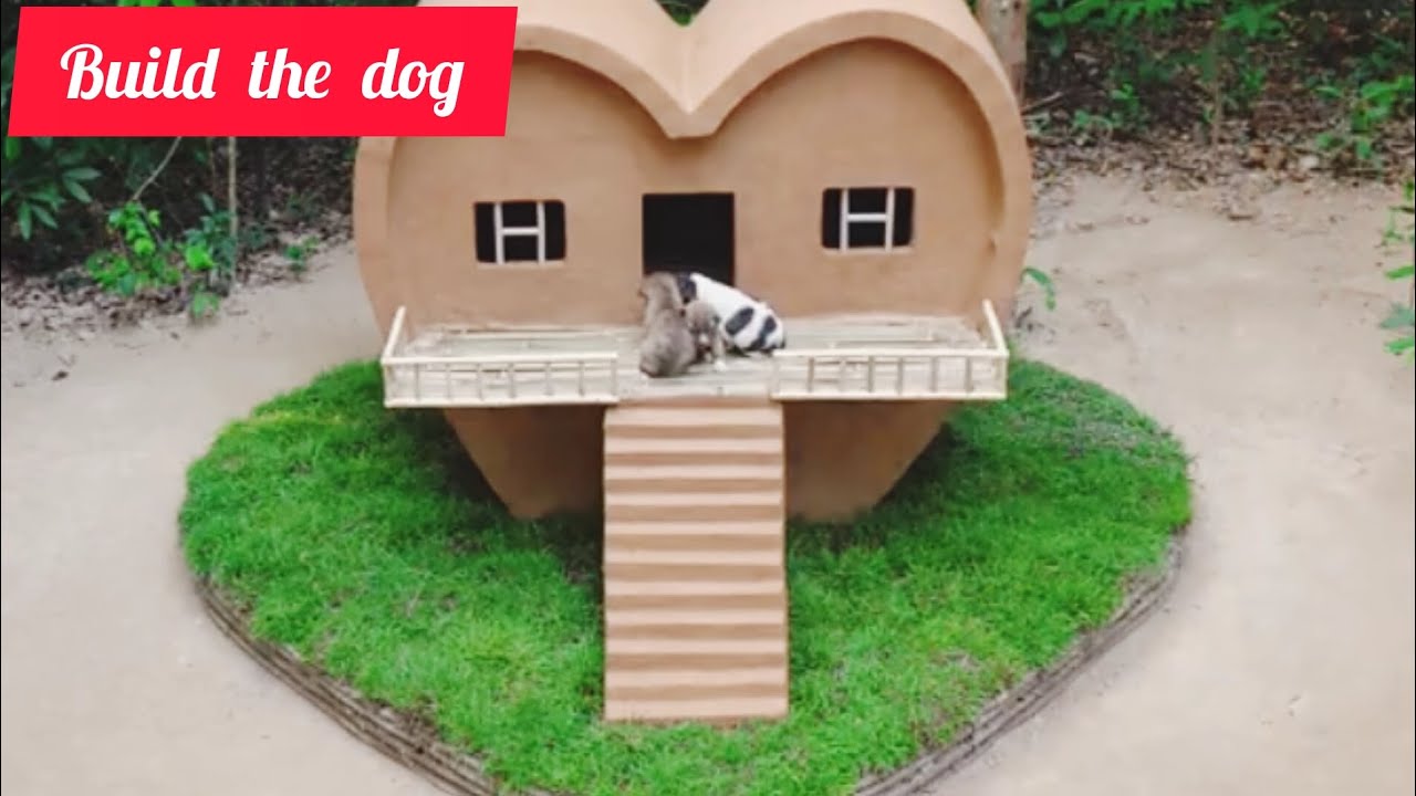 Build Mod Dog house for rescued.Save the beautiful dog house.... YouTube