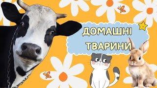ДОМАШНІ або СВІЙСЬКІ тварини для дітей. Дітям про тварин українською. Вчимо тварин в селі.