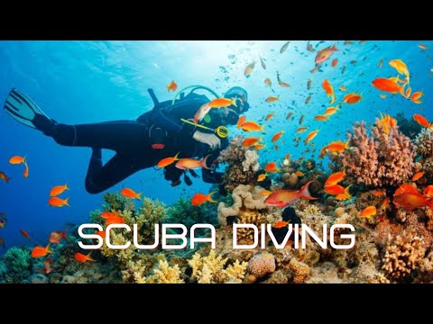 SCUBA DIVING IN INDIA 2020 - GOA EP-2 - JUST RS.3000 -MUST TRY