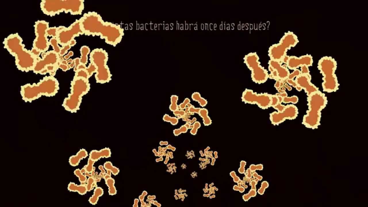 Función exponencial: Resolución de problemas