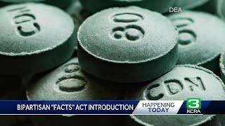 California congressman pushing for a  federal fight against fentanyl