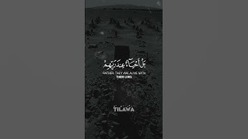 سورة آل عمران للقارئ شريف مصطفى 🤍