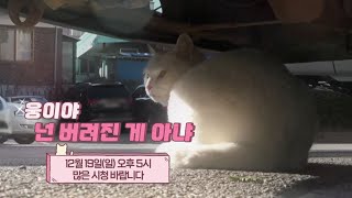 #shorts) 웅아 넌 버려진 게 아냐 예고편_12월 19일 (일)_오후 5시 본방사수