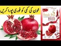 Fresh pro blood syrup by maria ansari           