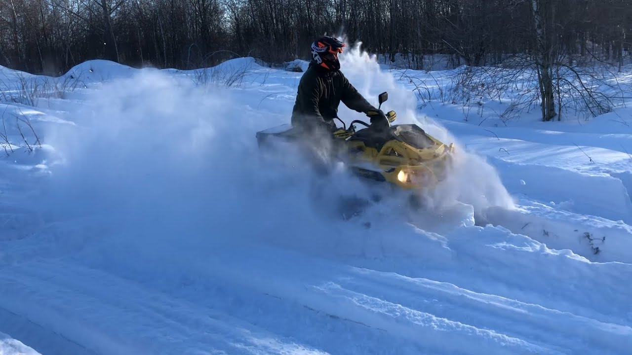 Playing in the Snow