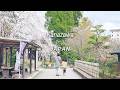 Spring in Kanazawa: A Quiet Escape in Japan