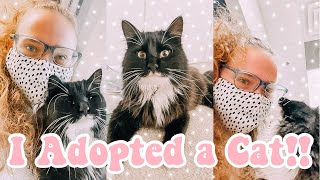 i adopted a cat!!! | nursing school vlog, emotional support cat adoption and meeting shamu!!