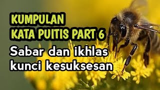 Kumpulan Kata Puitis Part 6 Sabar dan Ikhlas Kunci Kesuksesan