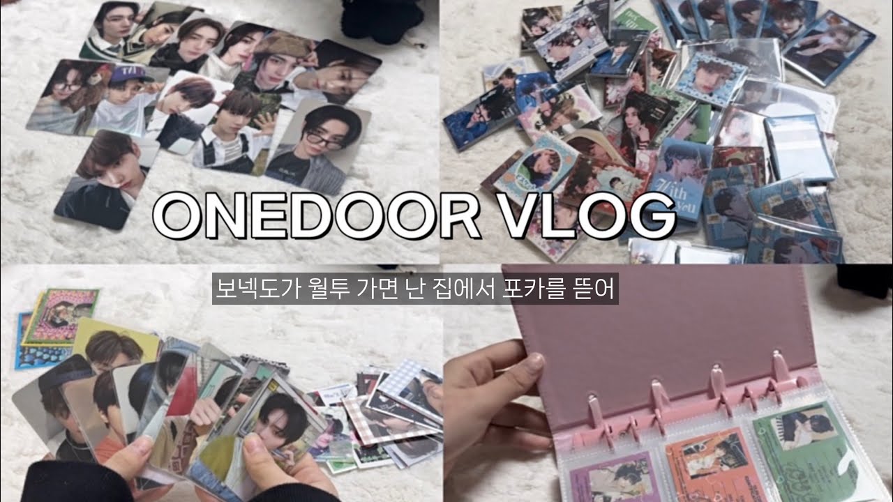 [원도어로그] 보넥도를 못본다는 외로움을 포카로 달랜다. / 원도어 브이로그 / 덕질로그 / 원도어 / 탯프 / 한태산 / 보이넥스트도어 / 보넥도 / 앨리스 바인더 / 포카마켓