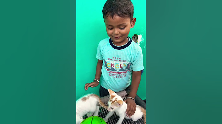 Kali Maa Go Tomar Ashirwad ❤️😍 #shorts #viral #cute #trending #maa
