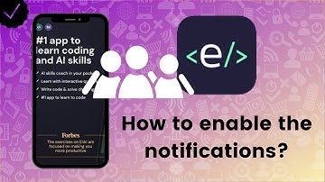 How to enable the team activity notifications on Enki-Learn to code?