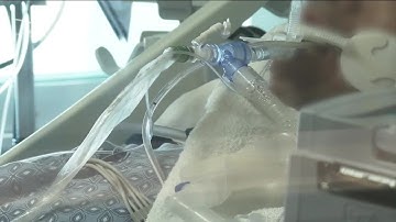 Case students create dashboard breaking down COVID-19 cases by city’s zip codes