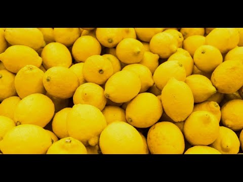 Salfate explica que el limón congelado aliviaría hasta 12 tipos de cáncer -  YouTube