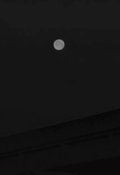 STORY WhatsApp - Lela Lela le Rauf & Faik🖤aesthetic dark vibes 🥀